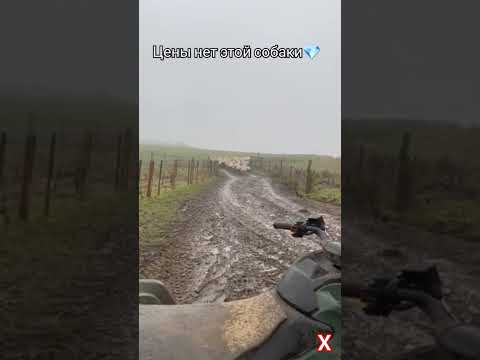 Видео: 25 июля 2024 г.