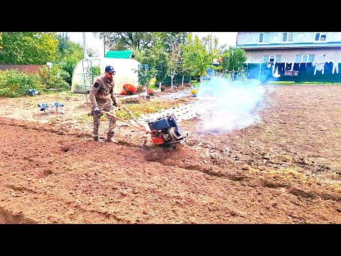 Видео: Завгар блогерує,я фрезую💪Сезон висадки часнику‼️Готуємо площу‼️Старющий мотоблок Зуб НТ 1135Е🔥