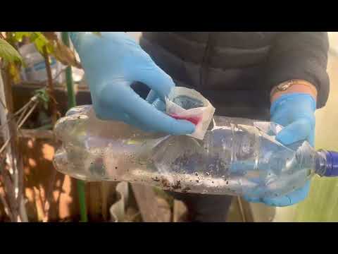 Видео: Борьба с грызунами