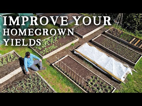 Видео: Идеальный размер приподнятой грядки для высокой производительности в небольших пространствах