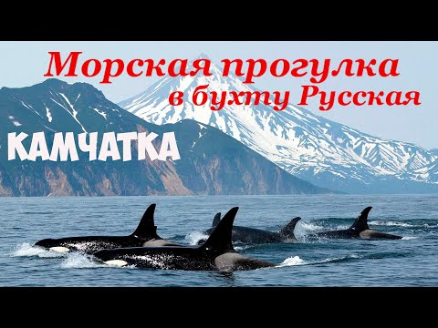 Видео: Морская прогулка в бухту Русская Камчатка