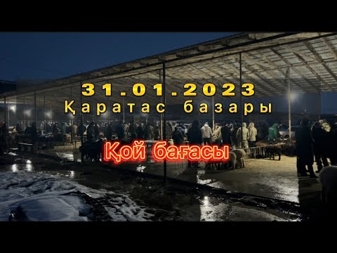 Видео: Қаратас мал базары. Қозылы қой,қой, қошқар, ешкі, серке бағалары