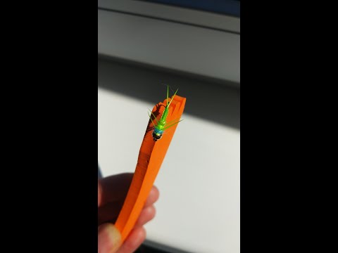 Видео: Зелёная Стрекоза. Мушка на Симу.