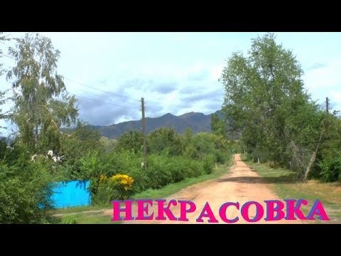 Видео: Прогулка по с.Некрасовка Урджарского района.Часть 1