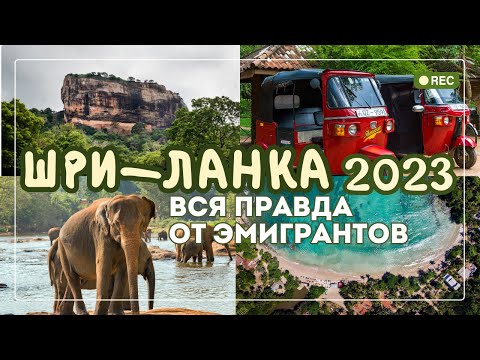 Видео: ШРИ-ЛАНКА 2023: ВСЁ, что нужно знать ДО приезда на остров| ВСЯ ПРАВДА И СОВЕТЫ ОТ ЭМИГРАНТА|Лайфхаки