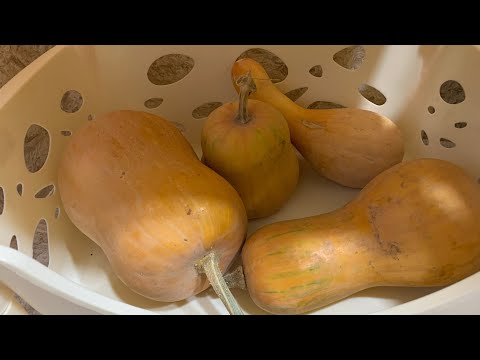 Видео: ЯНА ГУЛ ЭКДИМ 😊🤔😂🌺🥹🤭