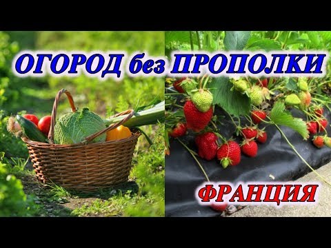 Видео: Гениально!ОГОРОД БЕЗ ПЕРЕКОПКИ, ПРОПОЛКИ /Садоводство во Франции/Без Сорняков!
