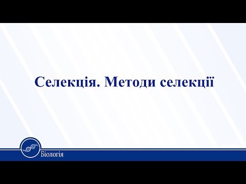 Видео: Селекція. Методи селекції. Біологія 11 клас