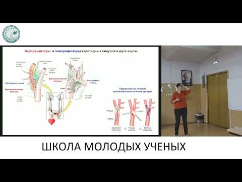 Видео: Изменения регуляции системной гемодинамики при ишемическом повреждении - Тарасова Ольга Сергеевна