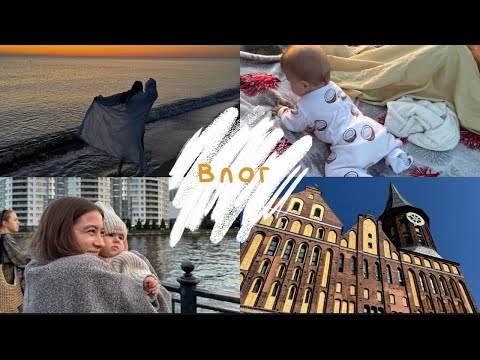 Видео: Влог| Калининград| 2 часть| Рыбная деревня| Разборки с семьей 