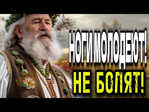Видео: Последний шанс вернуть силу ног после 60 лет болят ноги кушаем и пьем это. ЗНАХАРЬ