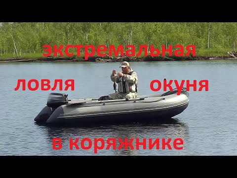 Видео: Деревянный окунь