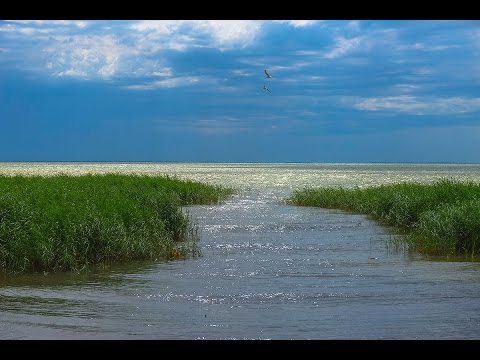 Видео: Рыбалка на Сартлане 03.06.16/Хромовое/Красный Яр