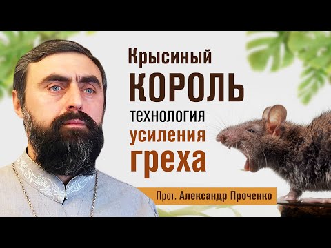 Видео: Крысиный король - технология усиления греха (прот. Александр Проченко) @r_i_s