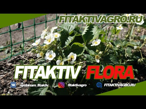 Видео: FLORA - Удобрение для стимуляции цветения // FITAKTIV // НПО БИНАМ