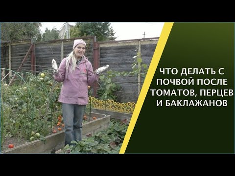 Видео: ПОЧВА ПОСЛЕ ПАСЛЕНОВЫХ! ЧТО С НЕЙ ДЛЕАТЬ, И ЧТО МОЖНО САЖАТЬ?