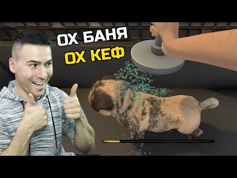 Видео: Препълнихме хотела с животни!😂