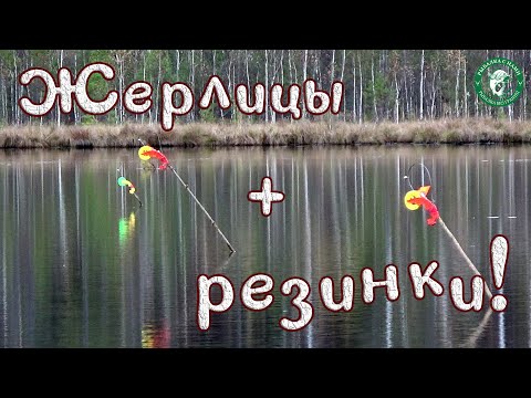 Видео: ЖЕРЛИЦЫ ПРОТИВ ДЕДОВСКИХ РЕЗИНОК, РЫБАЛКА НА ТАЁЖНОМ ОЗЕРЕ! ПЕРВАЯ ПОКЛЁВКА ЩУКИ ОБРЕЗАЛА ПОВОДОК!