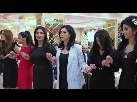 Видео: НАША СВАДЬБА АРАИК И ЭММА Ярославль 2021г. #Yezidi #wedding #музыка #music #kürtçe #müzik