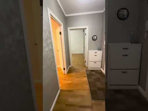 Видео: 27 октября 2025 г.