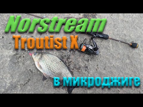 Видео: Troutist X в микроджиге