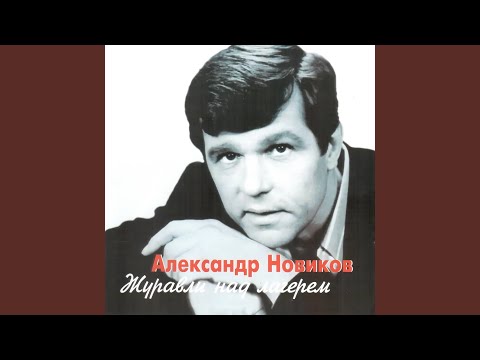 Видео: Журавли над лагерем