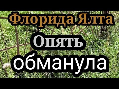 Видео: ФлоридаЯлта.Сама обманывает и других учит.Дочь Рокфеллера.Пишет Хеппи