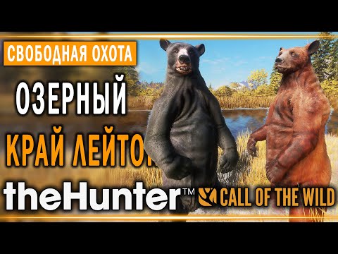Видео: theHunter Call of the Wild #4 🐰 - Озерный Край Лейтон (часть 3) - Свободная Охота