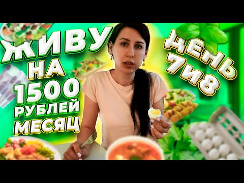 Видео: ЖИВУ НА 1500 РУБЛЕЙ МЕСЯЦ. ДЕНЬ СЕДЬМОЙ ВОСЬМОЙ