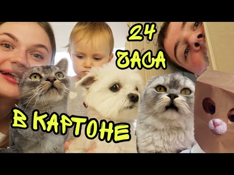Видео: 24 ЧАСА В КАРТОННОМ ДОМЕ С ЖИВОТНЫМИ И МАЛЫШКОЙ