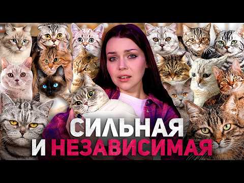 Видео: "ОСТАНЕШЬСЯ ОДНА С 40 КОШКАМИ" | почему женщин пугают одиночеством