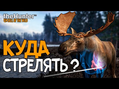 Видео: Бриллиант пришёл сам! - Берег Ревонтули - Разбиваю сердца - TheHunter Call of the Wild