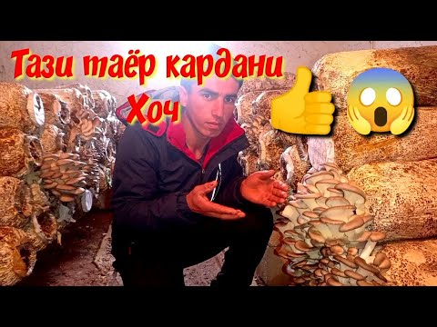 Видео: Тарзи хочпарвари бо маслиҳати мутахасис акаи Зубайдулло,,😱😱😱😱😱тел 101081040