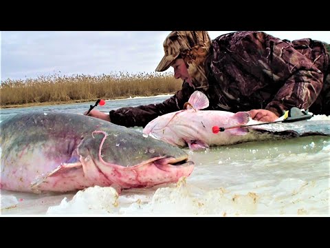Видео: ОТ ТАКОЙ РЫБАЛКИ - МУРАШКИ! ЛОВИЛ ЩУК, А ПОЙМАЛ,  ЗИМОЙ - СОМОВ! РЫБАЛКА В ЗАМЁРЗШЕМ ОЗЕРЕ