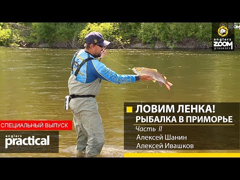 Видео: ЛОВИМ ЛЕНКА! Рыбалка в Приморье. Шанин и Ивашков. Часть 2. Anglers Practical