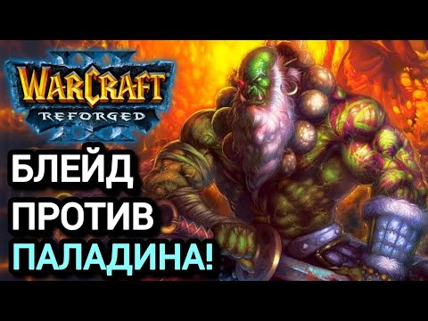 Видео: БЛЕЙД ПРОТИВ ПАЛАДИНА! Warcraft 3 Reforged
