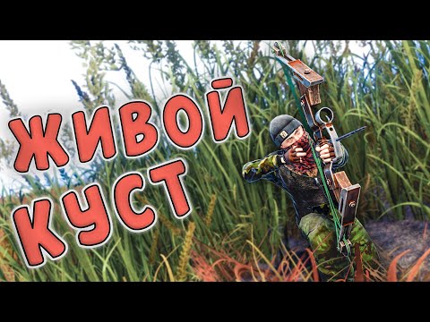 Видео: RUST - Самый Опасный Куст в Расте. Зарейжен, но Не Сломлен!