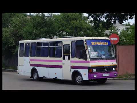 Видео: Баз А079.23 Мальва: Вид.