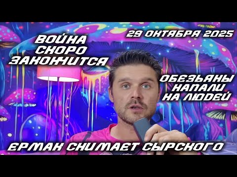 Видео: ВТОРЖЕНИЕ В ВЕНЕСУЭЛУ ЧЕРЕЗ 48 часов! ЛИТВА ЗАКРЫЛА ГРАНИЦУ С БЕЛАРУСЬЮ! ВОССТАНИЕ ОБЕЗЬЯН! 