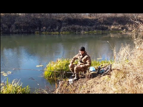 Видео: Рыбалка.Дуплет ГОЛАВЛЯ,ОКУНЬ на микро-живца,ПЛОТВА на ПОПЛАВОК!