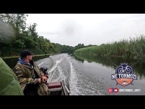 Видео: Реки Воронежской области. Хава