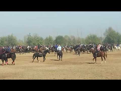 Видео: 12 октября 2025 г.