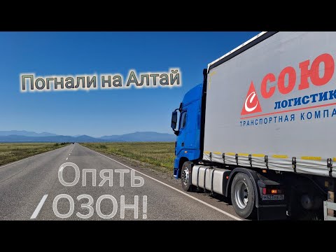 Видео: Окончание отпуска 😊 Погнали на Алтай😎 Вози Озон🤷‍♂️