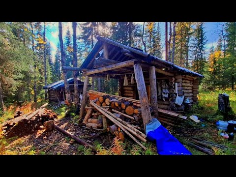 Видео: Разгромили избушку ДО ОСНОВАНИЯ... Что будем делать? Вторая жизнь старенькой избушки.