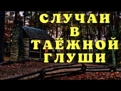 Видео: Мистика Тайги/ Истории таёжных охотников/Охотничьи байки/Страшные истории