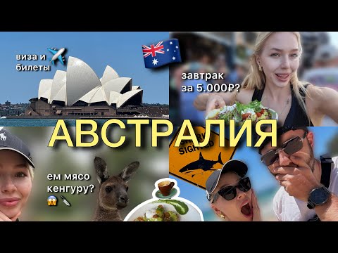 Видео: Австралия, Сидней VLOG | виза | акулы | цены на еду и проживание | ем кенгуру? | пробежки | кофе