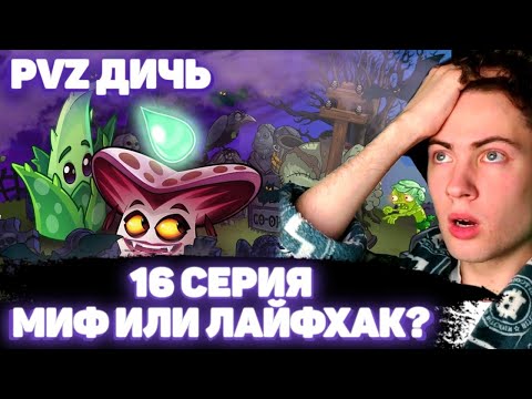 Видео: PVZ ДИЧИ Вампорчини может вернуться с того света? Зомбойд убьет касанием? Мифы PvZ Дичи (Часть 16)