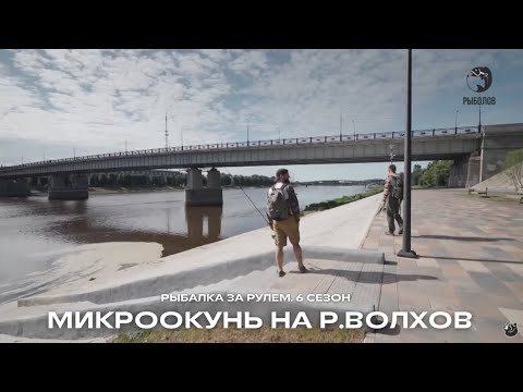 Видео: Микроокунь на р. Волхов. Наловили щучек и окуней / Рыбалка за рулем / 6 сезон. 18 серия