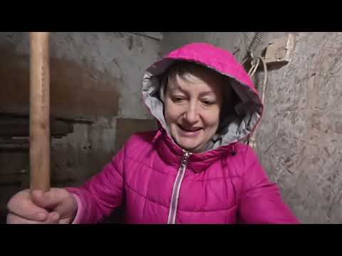 Видео: Привыкаем. Куры боятся. Довязала.