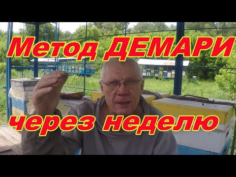 Видео: Борьба с роением пчел. Противороевой метод Демари. #3